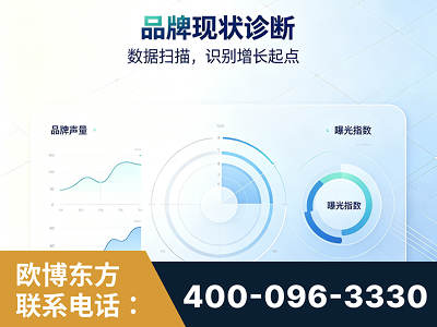 四会-品牌现状诊断